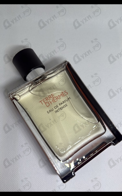 Купить Terre D'Hermes Eau De Parfum Intense от Hermes