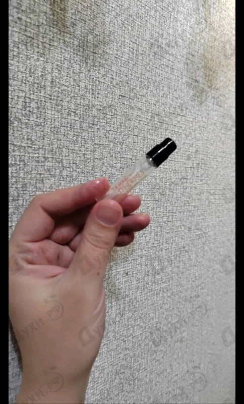 Парфюмерия Terre D'Hermes Eau De Parfum Intense от Hermes