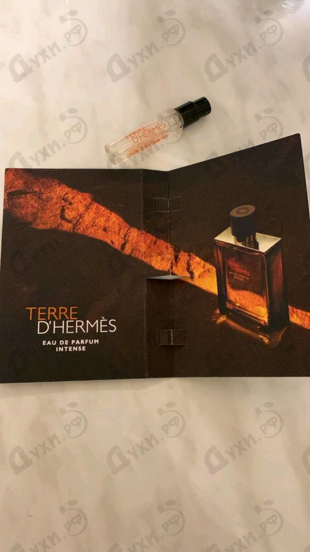 Купить Terre D'Hermes Eau De Parfum Intense от Hermes
