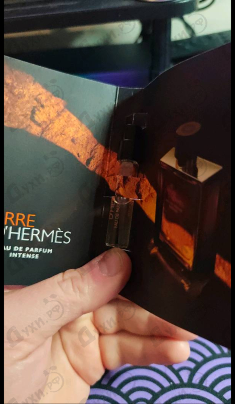 Отзывы Hermes Terre D'Hermes Eau De Parfum Intense