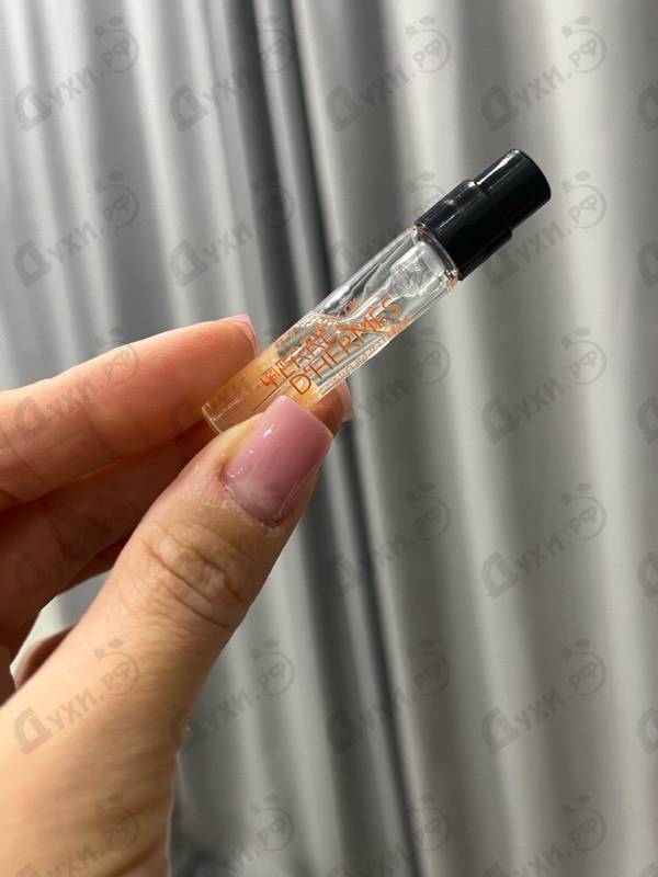 Парфюмерия Hermes Terre D'Hermes Eau De Parfum Intense