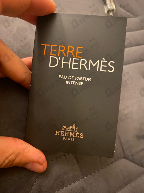 Купить Terre D'Hermes Eau De Parfum Intense от Hermes