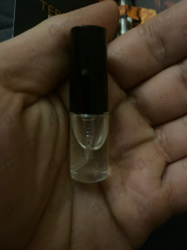 Парфюмерия Terre D'Hermes Eau De Parfum Intense от Hermes