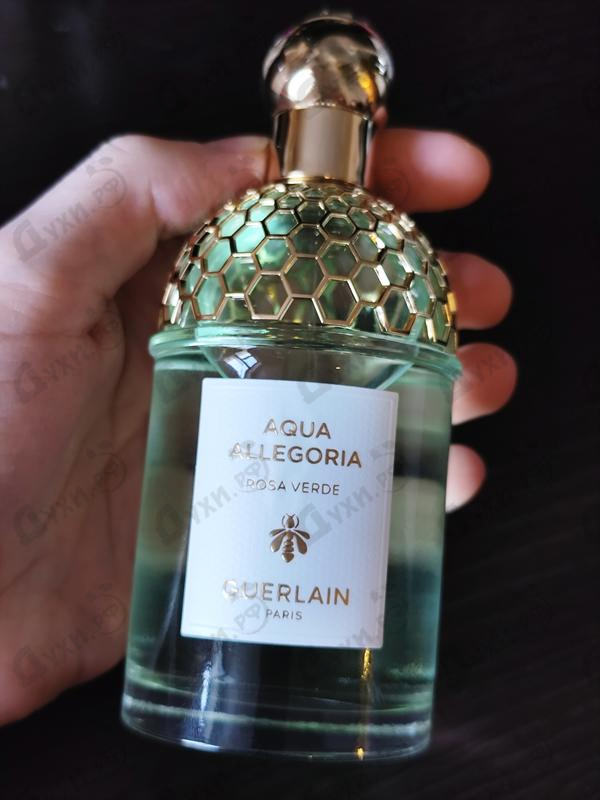 Парфюмерия Aqua Allegoria Rosa Verde от Guerlain