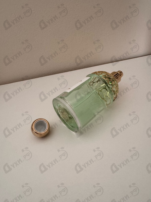 Купить Aqua Allegoria Rosa Verde от Guerlain