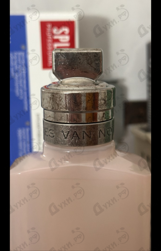 Купить Dries Van Noten Rosa Carnivora