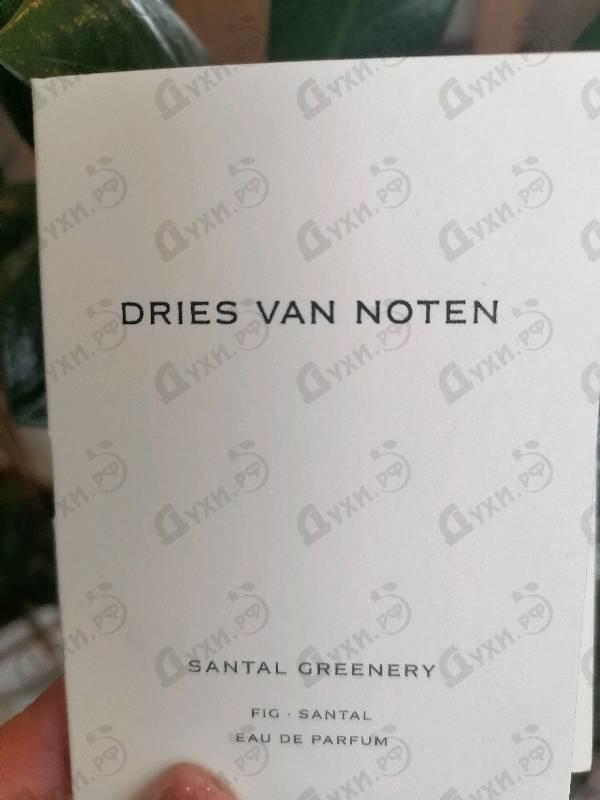Купить Santal Greenery от Dries Van Noten