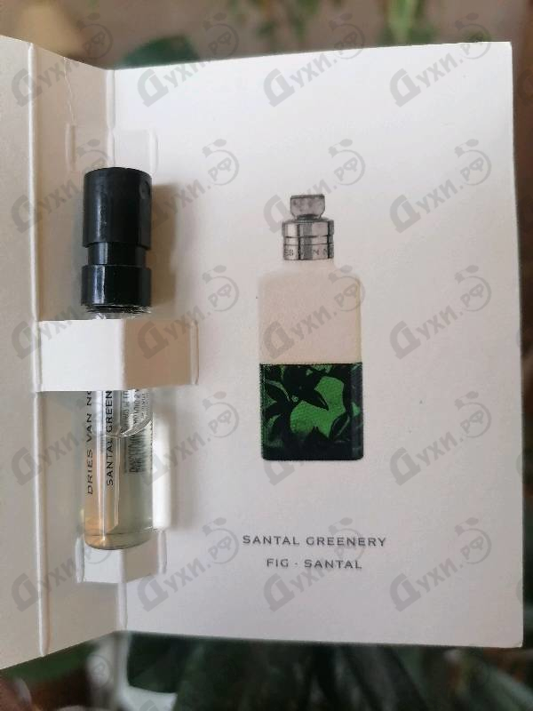 Парфюмерия Santal Greenery от Dries Van Noten
