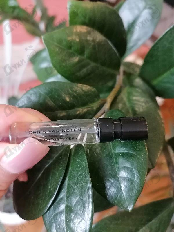 Духи Santal Greenery от Dries Van Noten