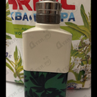 Духи Santal Greenery от Dries Van Noten