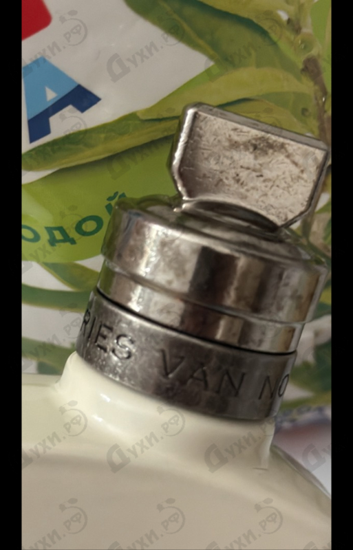 Купить Dries Van Noten Santal Greenery
