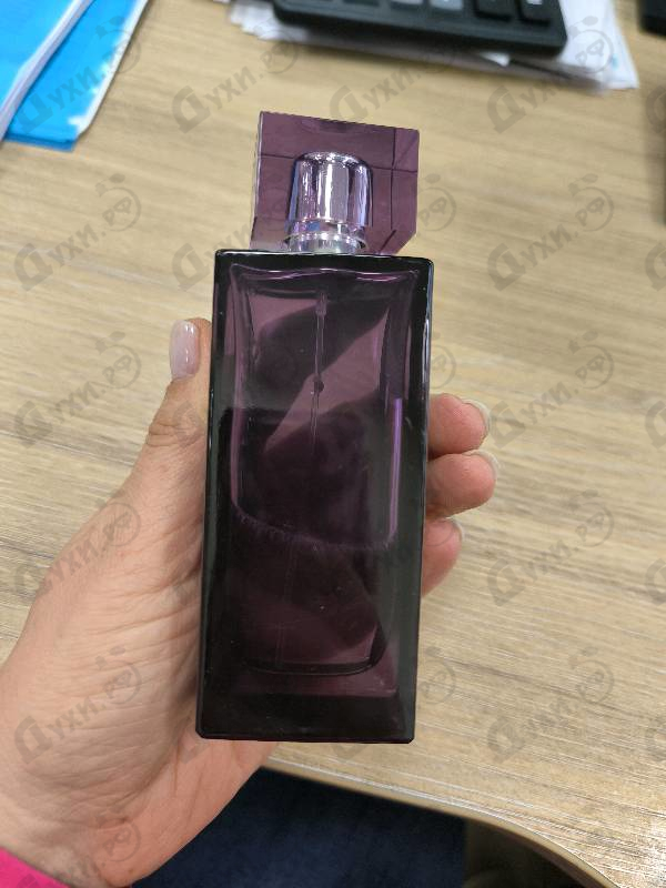 Купить Lalique Amethyst