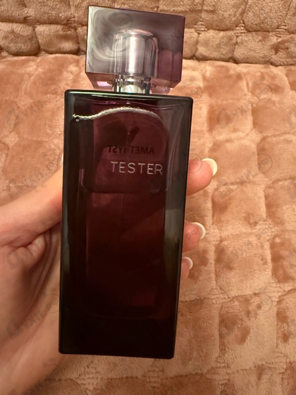 Купить Amethyst от Lalique