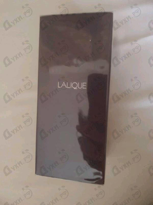 Купить Lalique Amethyst