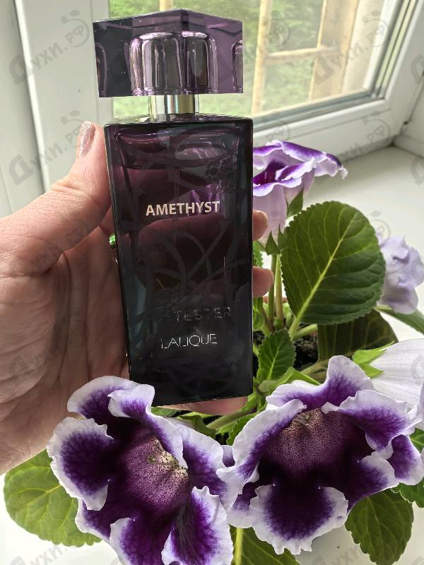 Купить Amethyst от Lalique