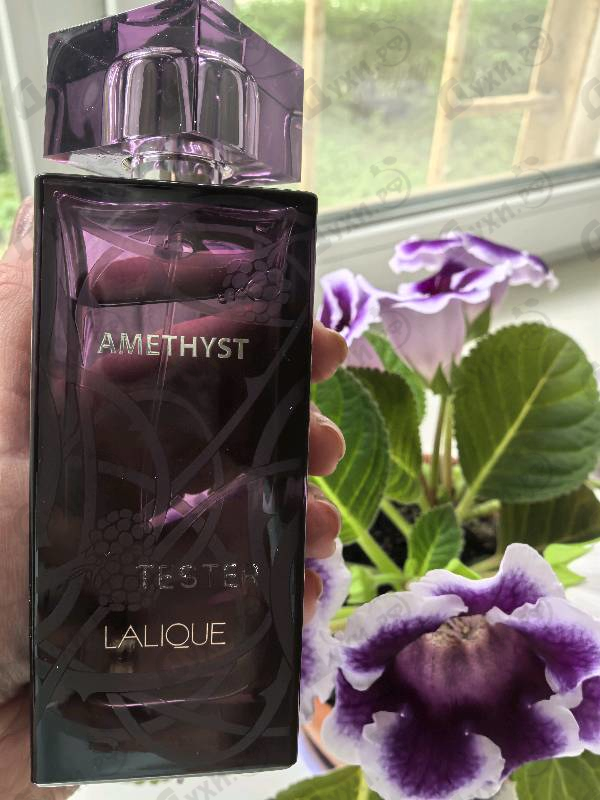 Купить Amethyst от Lalique