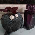 Отзыв Lalique Amethyst