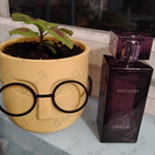 Отзывы Lalique Amethyst