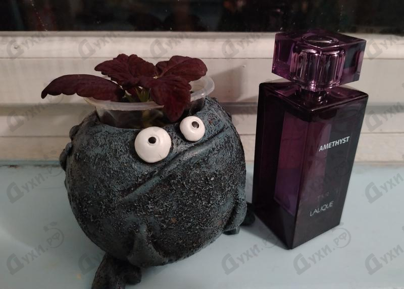 Духи Amethyst от Lalique