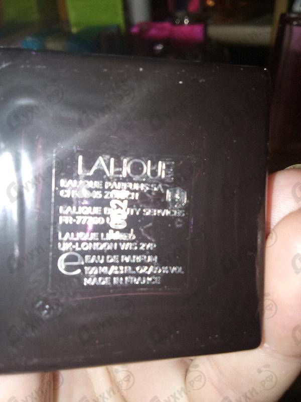 Купить Lalique Amethyst