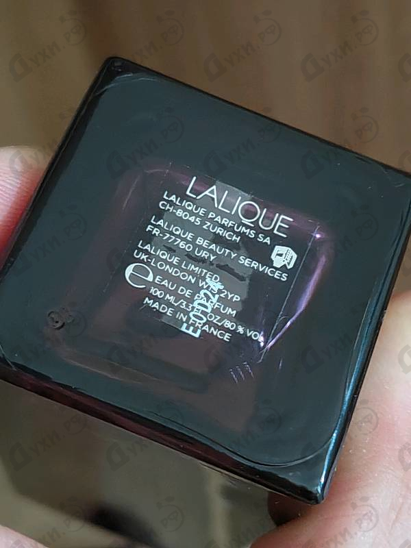 Купить Lalique Amethyst