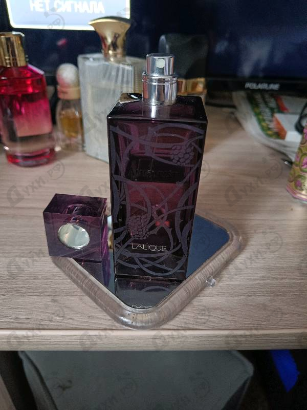 Отзыв Lalique Amethyst