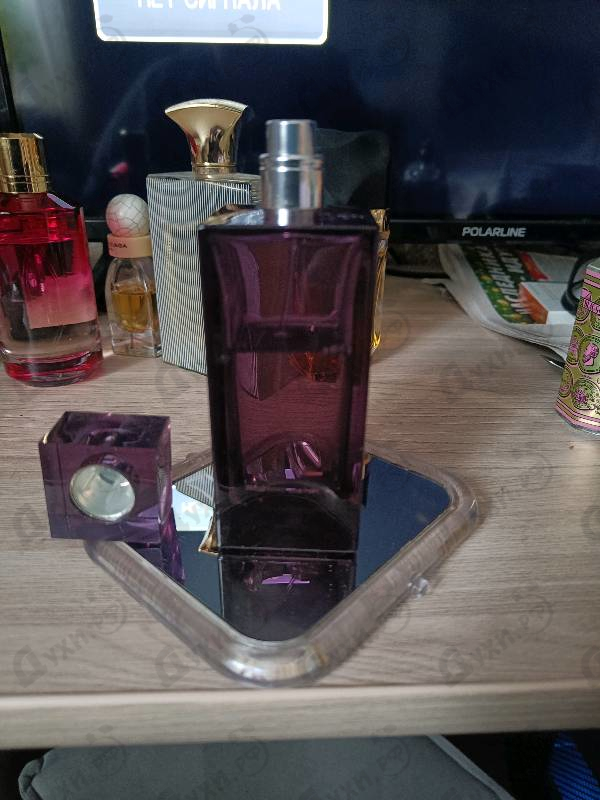 Купить Amethyst от Lalique