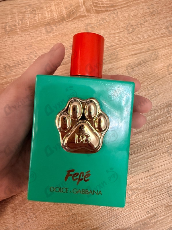 Купить Fefe от Dolce & Gabbana