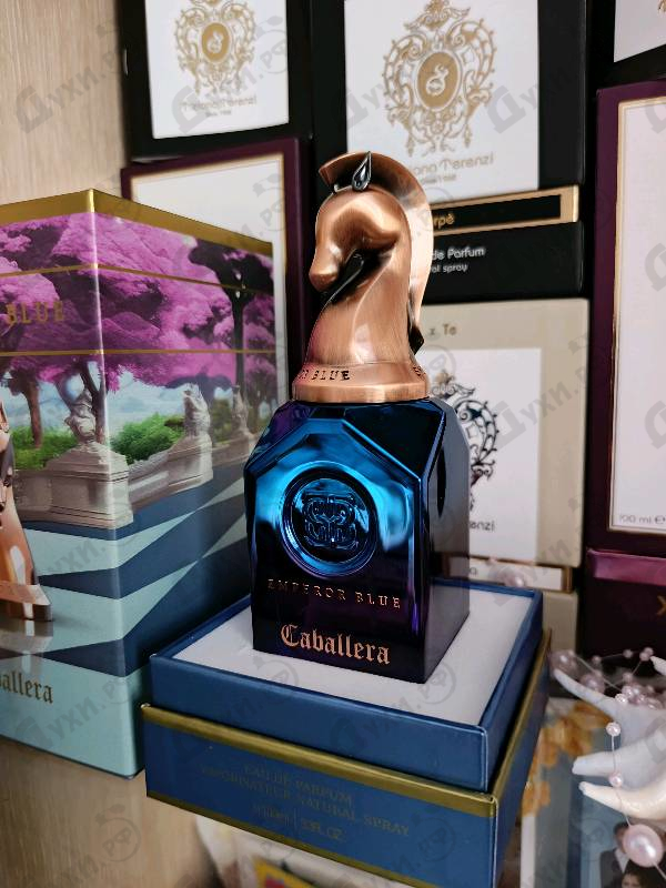 Отзыв Emperor Blue Caballera