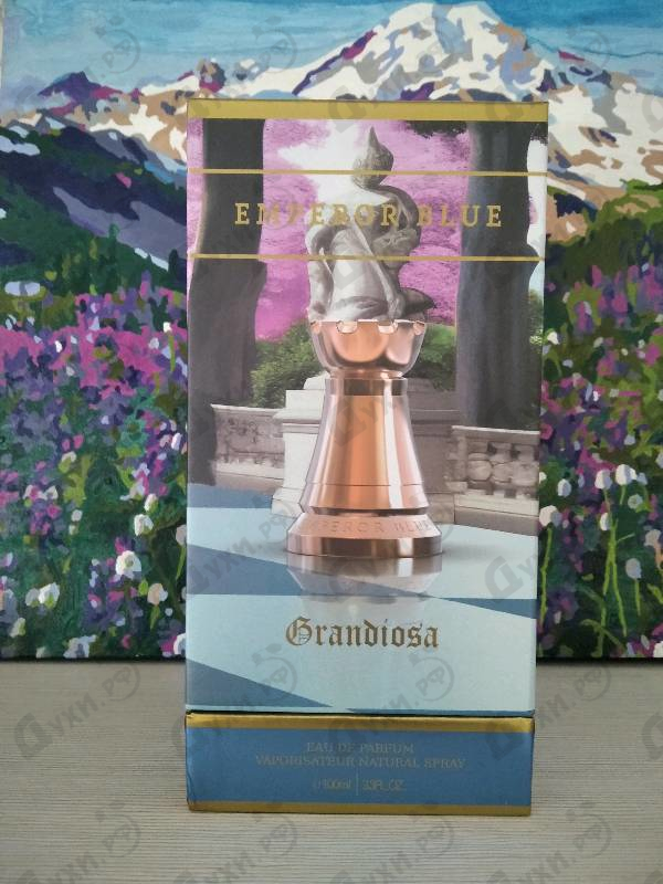 Купить Grandiosa от Emperor Blue