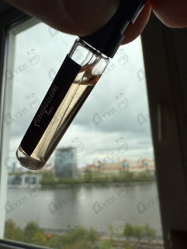 Купить 17.1 Dilshad от Pierre Guillaume