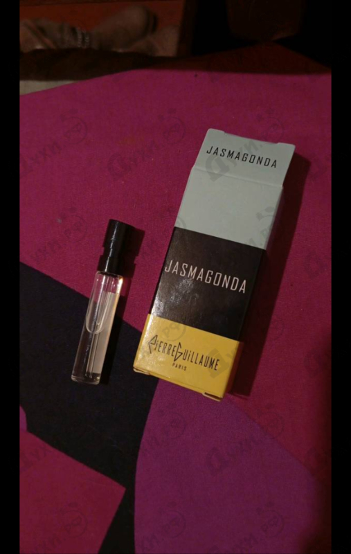 Купить Pierre Guillaume 23.1 Jasmagonda
