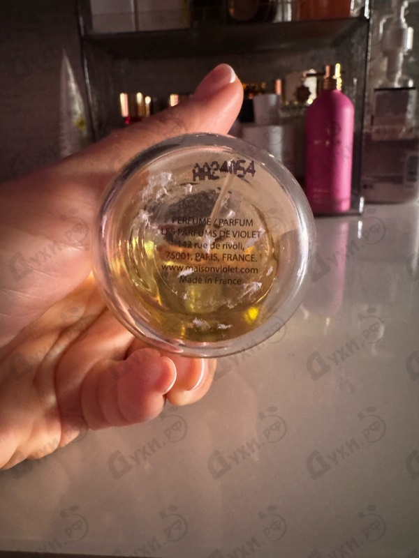 Купить Un Air D’Apogee от Maison Violet