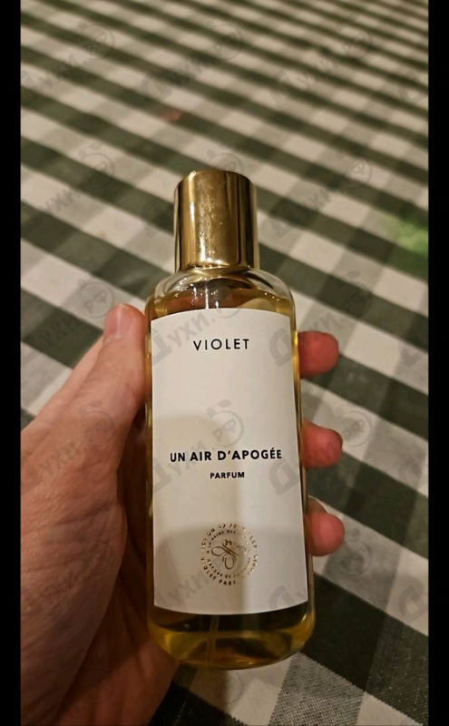 Отзыв Maison Violet Un Air D’Apogee