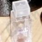 Отзыв Lalique Flora Bella