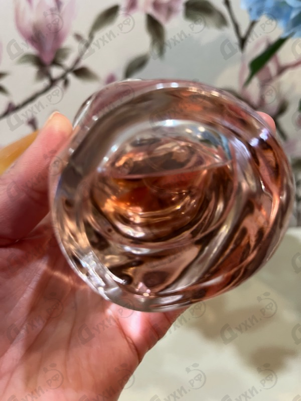 Купить Donna Karan Cashmere & Wild Fig