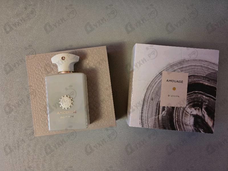 Купить Decision от Amouage