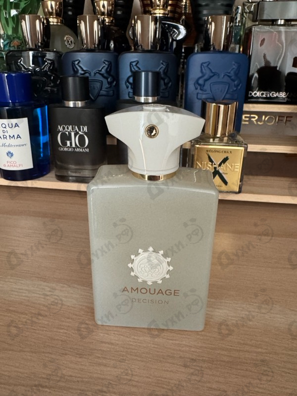 Купить Decision от Amouage