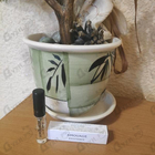 Отзывы Amouage Existence