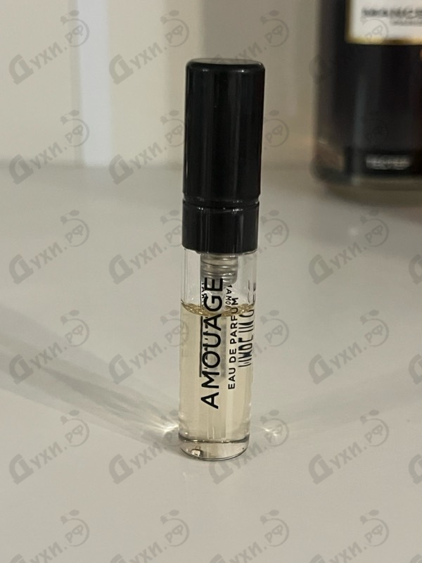 Купить Amouage Existence