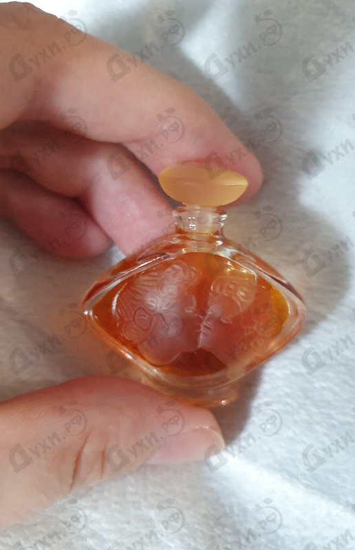 Отзывы Lalique Le Baiser