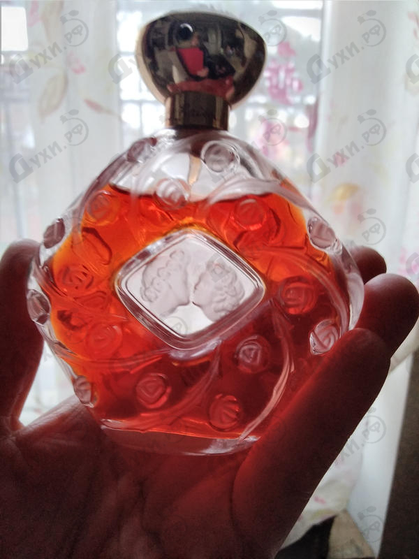 Купить Lalique Le Baiser