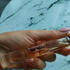 Парфюмерия Impadia от Parfums BDK