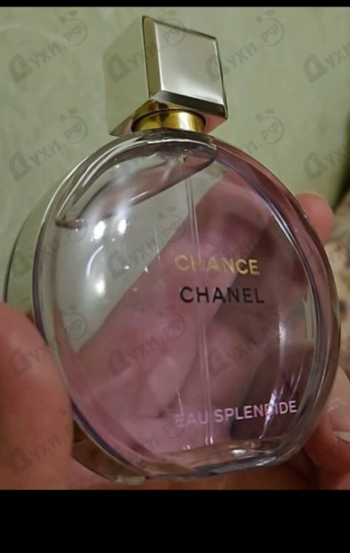 Парфюмерия Chanel Chance Eau Splendide