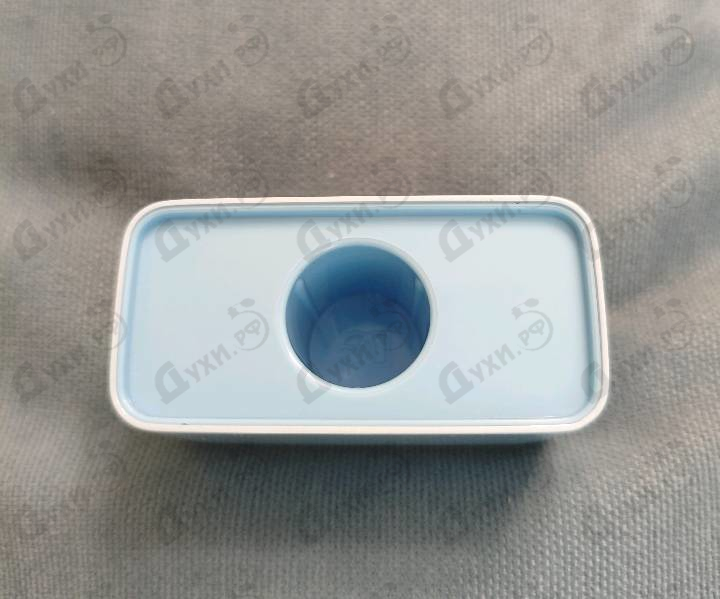 Купить Light Blue 2025 от Dolce & Gabbana
