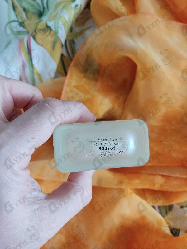 Купить Light Blue 2025 от Dolce & Gabbana