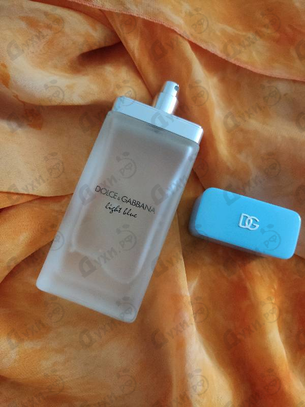 Парфюмерия Dolce & Gabbana Light Blue 2025