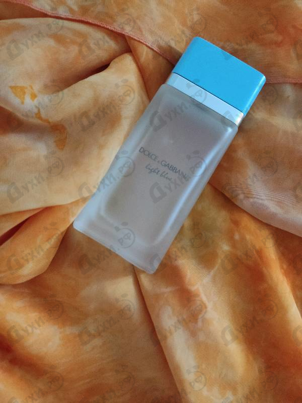 Отзывы Dolce & Gabbana Light Blue 2025