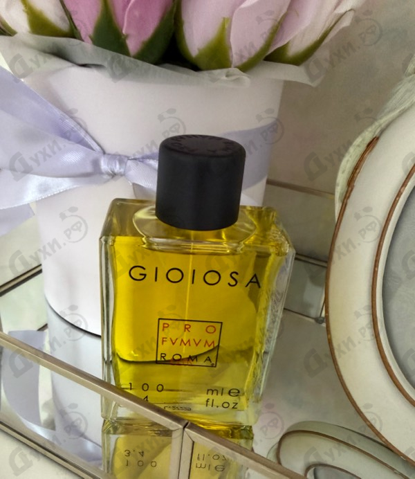 Купить Gioiosa от Profumum Roma