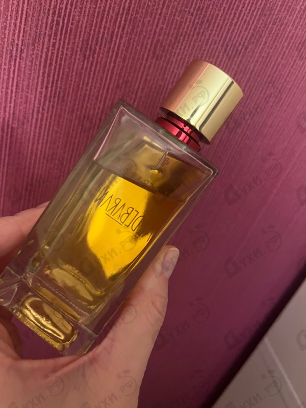 Купить Aldebaran от Marc-Antoine Barrois